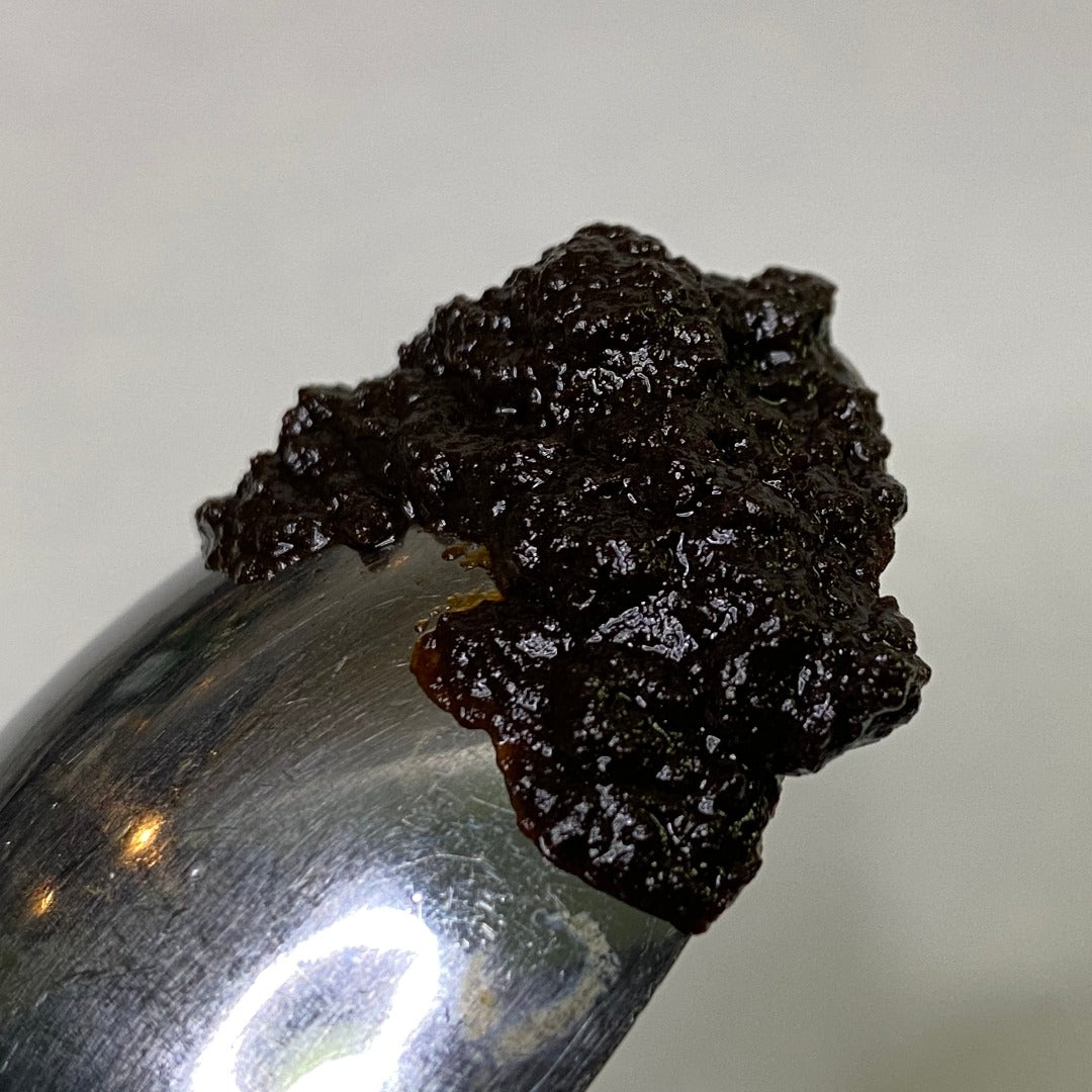close-up detail of a spoon topped with a dollop of Soul to Belly Black Garlic Cooking Paste